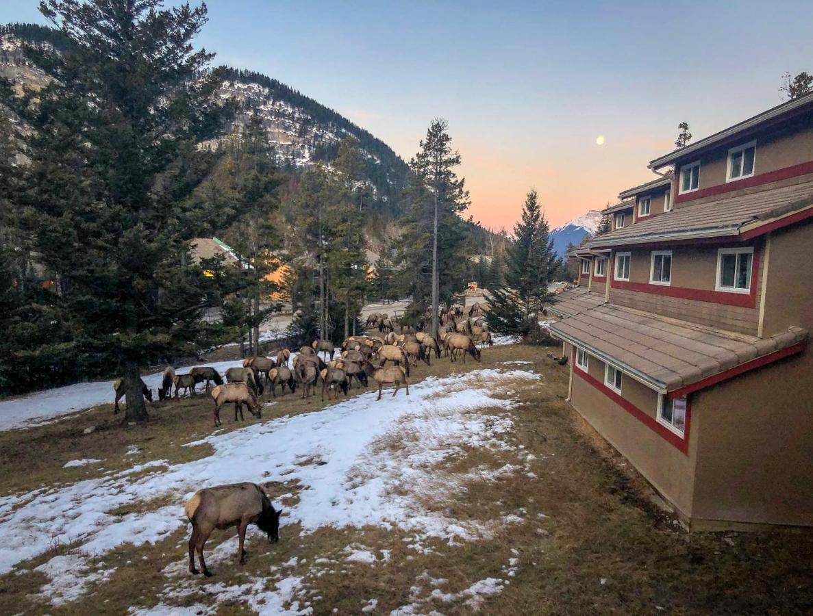 Hi Banff Alpine Centre - Hostel Exteriér fotografie